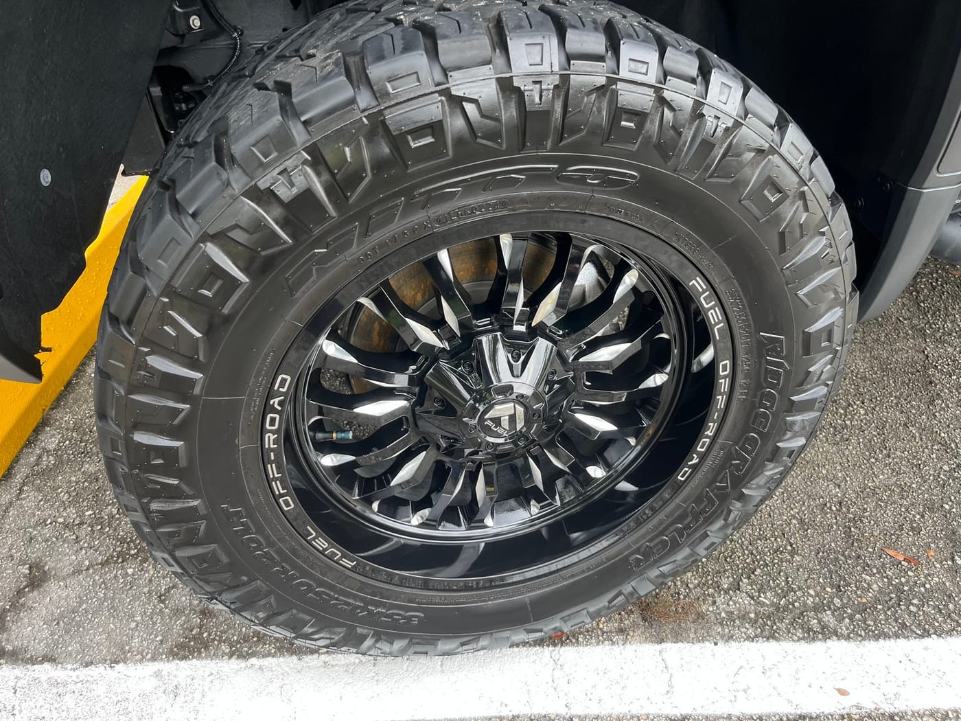Mobile auto detailing, window tint & ceramic coating in Lutz, FL by AMP'D Auto Detailing