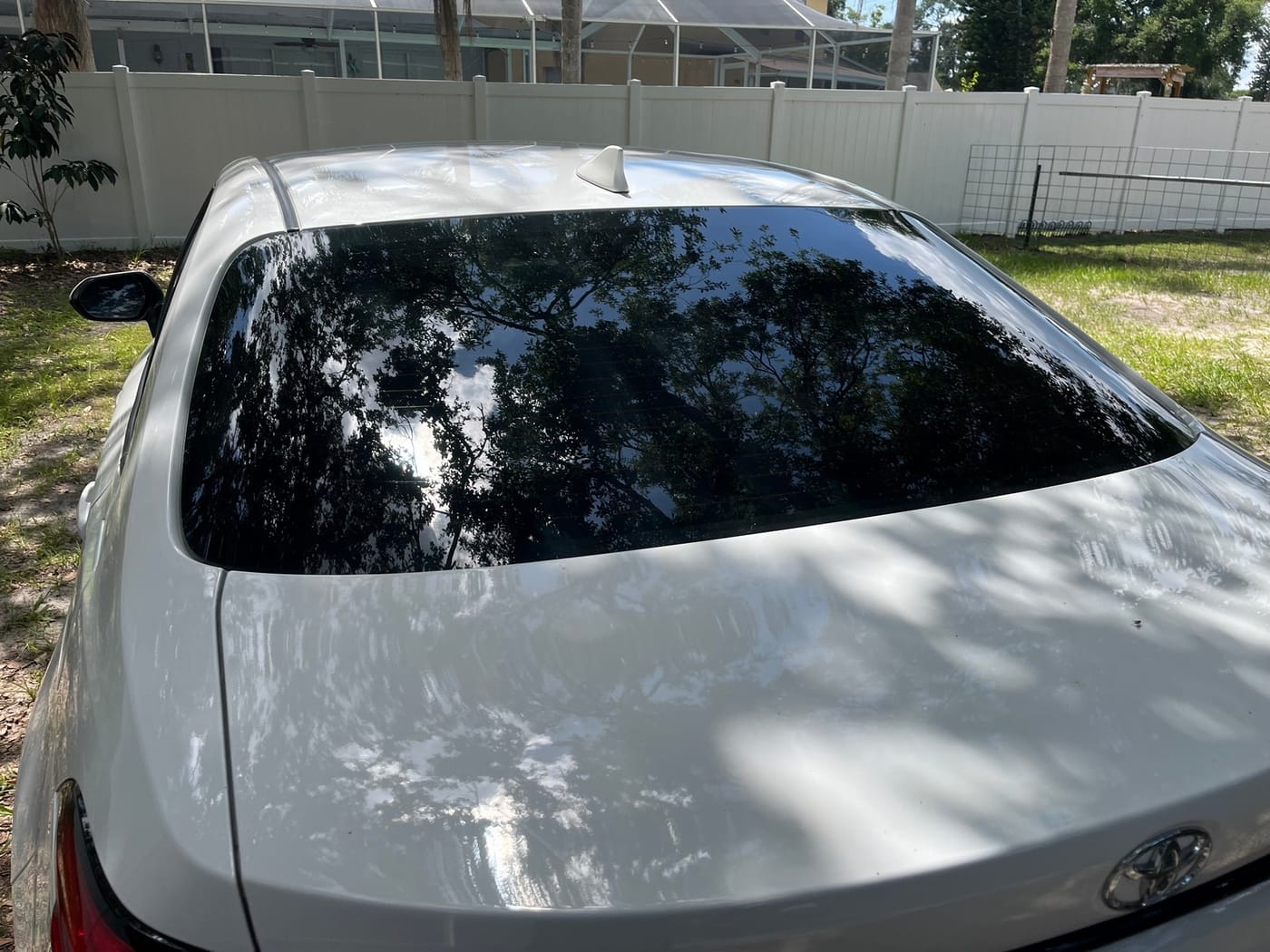 Mobile auto detailing in Clearwater, FL by AMP'D Auto Detailing